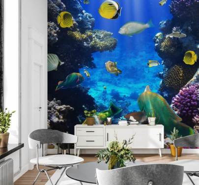 Papel pintado colorido de coral y pescado