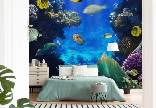 Bunte Korallen und Fische Wallpaper