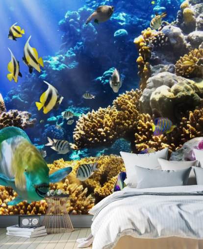 Värikäs kala ja koralli taustakuva Värikäs kala ja koralli taustakuva