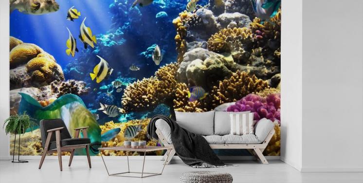 Papel de parede colorido de peixe e coral
