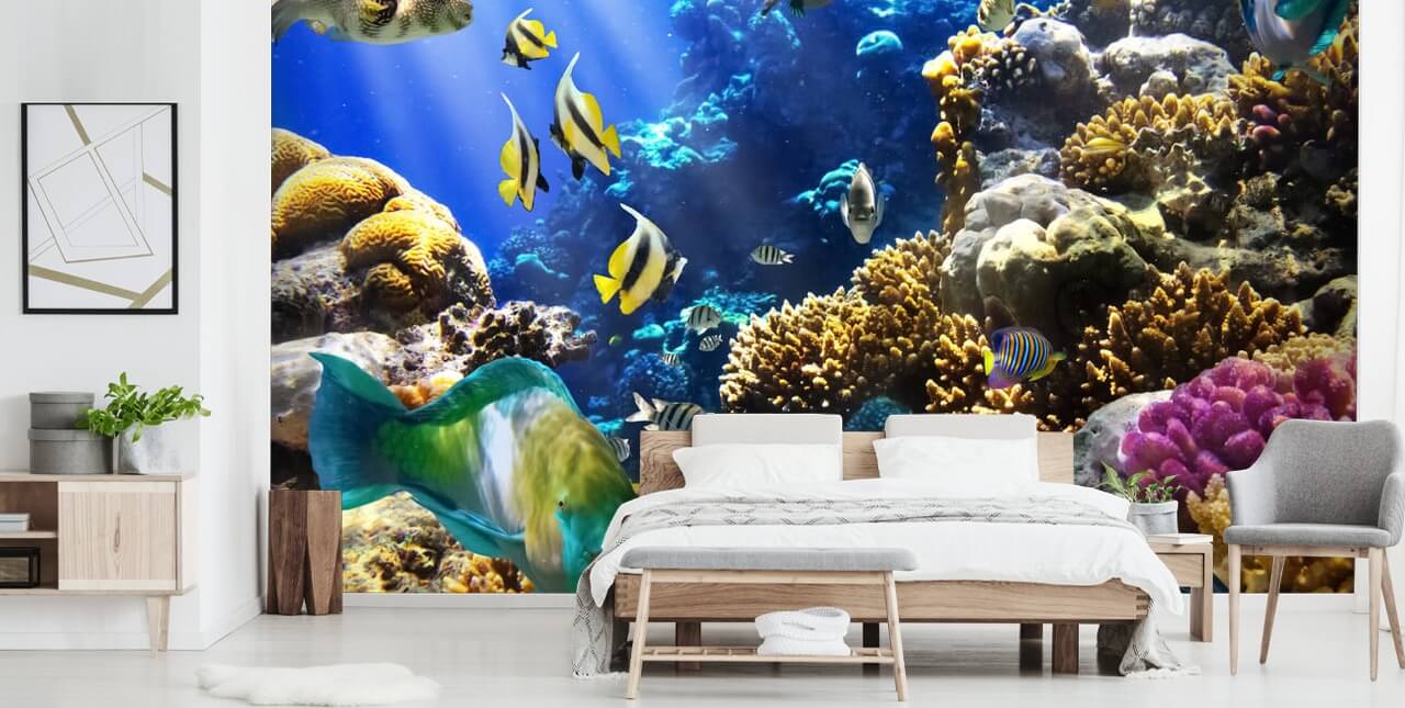 Papel de parede colorido de peixe e coral