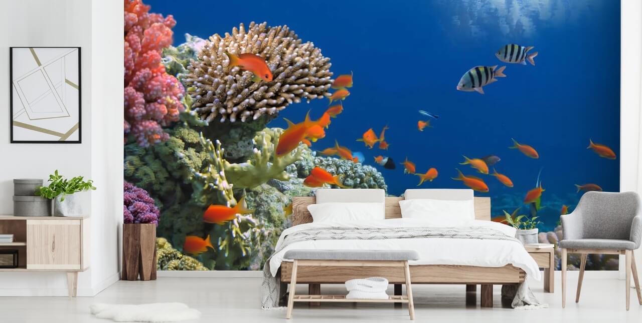 Tropical Fish on Coral Reef Coral Wallpaper