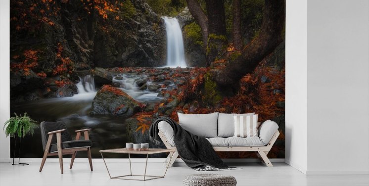 pequeña cascada en el fondo de pantalla de bosque otoñal