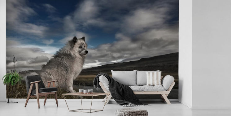 stor grå lurvig hund satt vid en flod tapet