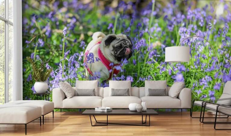 Doggies Wallpaper  Wallpaper for Dog Lovers  Milton  King