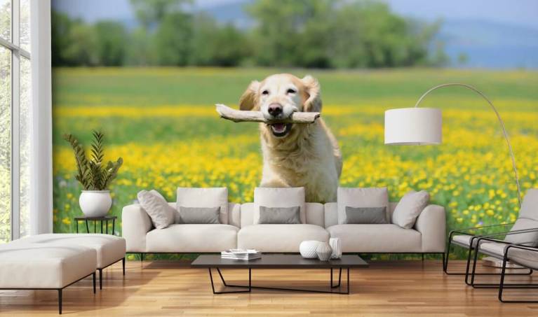 Dog Wallpaper Walls  Bedroom Wallpaper Dogs  Wallpaper Retro Dogs  House  Decoration  Wall Stickers  Aliexpress