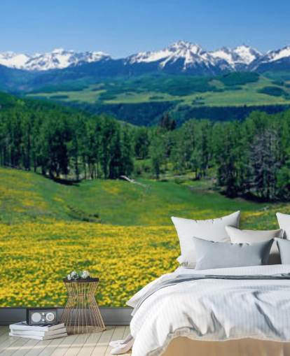 campo di prato giallo con montagne innevate in carta da parati a distanza campo di prato giallo con montagne innevate in carta da parati a distanza