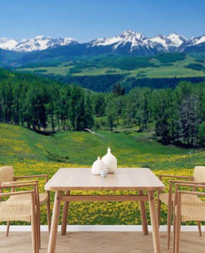 yellow meadow field with snowy mountains in distance wallpaper yellow meadow field with snowy mountains in distance wallpaper