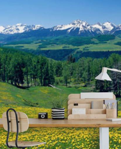 gul eng felt med snødekte fjell i avstand tapet gul eng felt med snødekte fjell i avstand tapet