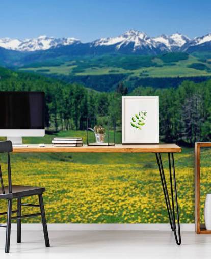 yellow meadow field with snowy mountains in distance wallpaper yellow meadow field with snowy mountains in distance wallpaper