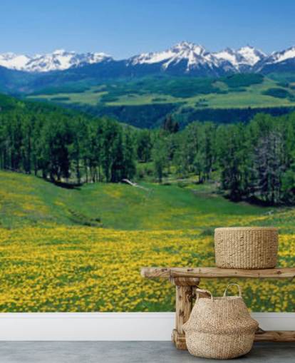 yellow meadow field with snowy mountains in distance wallpaper yellow meadow field with snowy mountains in distance wallpaper