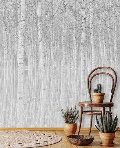 svarta och vita björkar i vatten tapeterf svarta och vita björkar i vatten tapeterf