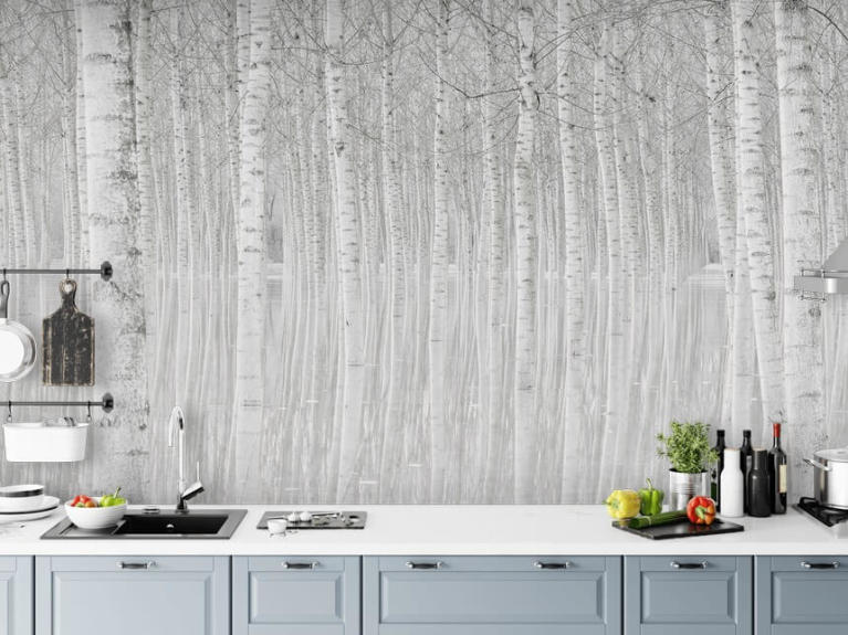 Birch Tree Wallpaper & Wall Murals | Wallsauce US