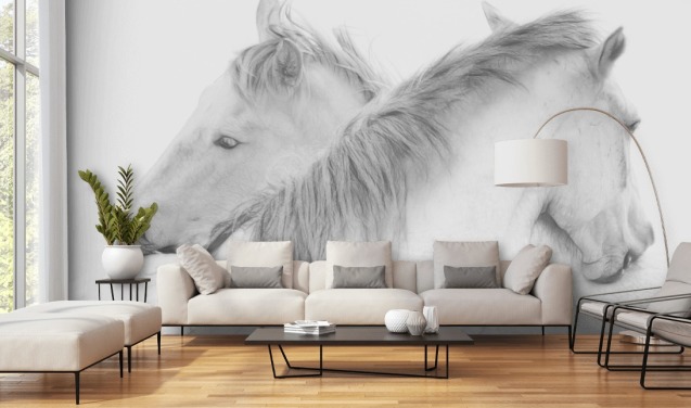 white horses wallpaper mural called Horses In White by 1x Photography for bedrooms, dining rooms and bathrooms
