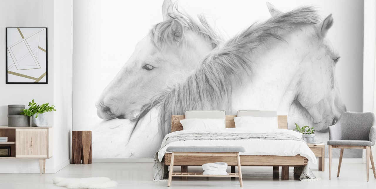 Wandtapete mit weißen Pferden namens Horses In White von 1x Photography für Schlafzimmer, Esszimmer und Badezimmer