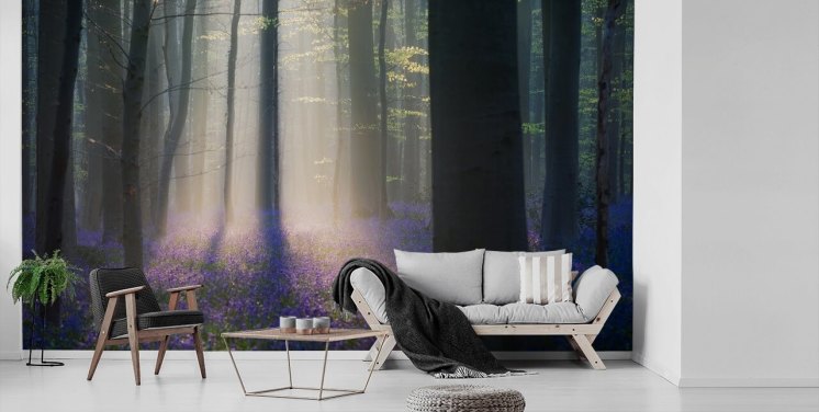 neblige Bluebell Holztapete
