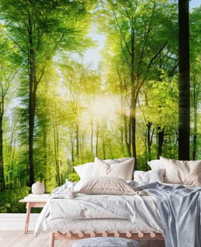 green customisable woodland wallpaper mural called Forest Panoramic with Sunbeams for bedroom green customisable woodland wallpaper mural called Forest Panoramic with Sunbeams for bedroom