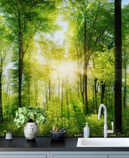 green customisable woodland wallpaper mural called Forest Panoramic with Sunbeams for bedroom green customisable woodland wallpaper mural called Forest Panoramic with Sunbeams for bedroom