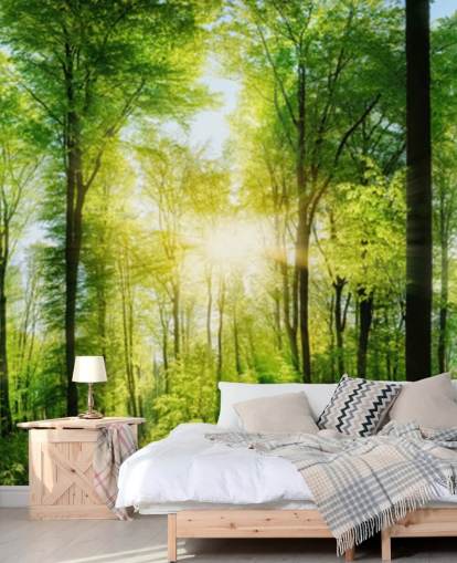 green customizable woodland wallpaper mural called Forest Panoramic with Sunbeams for bedroom green customizable woodland wallpaper mural called Forest Panoramic with Sunbeams for bedroom