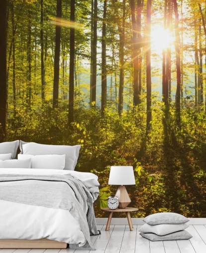 carta da parati murale verde e marrone con boschi chiamata Forest Sunlight per camere da letto, uffici domestici e sale da pranzo carta da parati murale verde e marrone con boschi chiamata Forest Sunlight per camere da letto, uffici domestici e sale da pranzo
