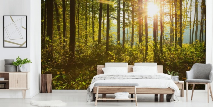grønt og brunt skogstapetveggmaleri kalt Forest Sunlight for soverom, hjemmekontorer og spiserom