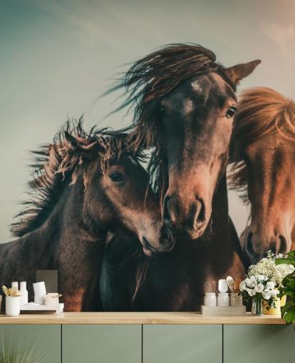 three brown horses photo wallpaper three brown horses photo wallpaper