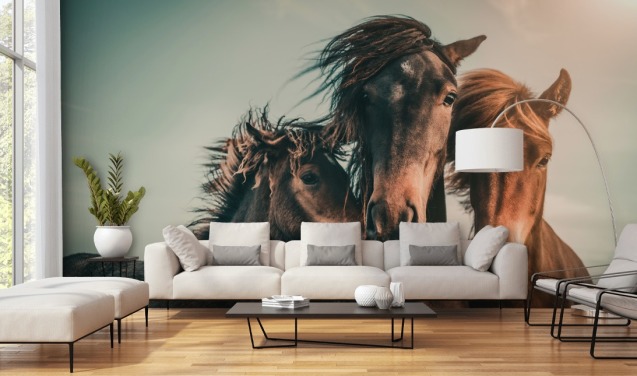 three brown horses photo wallpaper