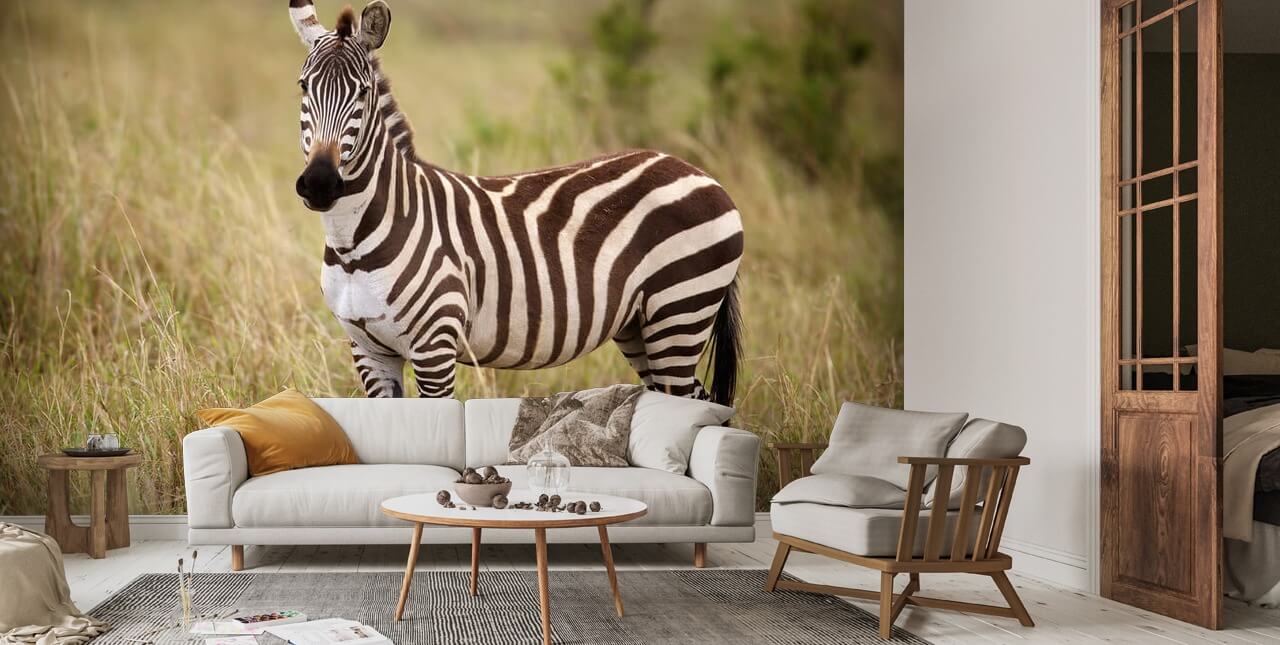 Zebra in Long Grass Wallpaper | Wallsauce UK