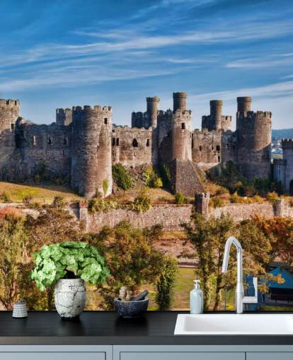 green and grey customisable wallpaper mural called Conwy Castle for living rooms, bedrooms and home offices green and grey customisable wallpaper mural called Conwy Castle for living rooms, bedrooms and home offices