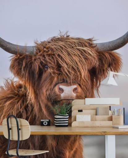 carta da parati murale marrone personalizzabile con mucca chiamata Highland Cow Close-Up carta da parati murale marrone personalizzabile con mucca chiamata Highland Cow Close-Up
