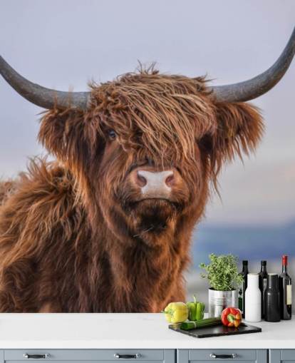 bruine aanpasbare muurschildering met koeienbehang genaamd Highland Cow Close-Up bruine aanpasbare muurschildering met koeienbehang genaamd Highland Cow Close-Up