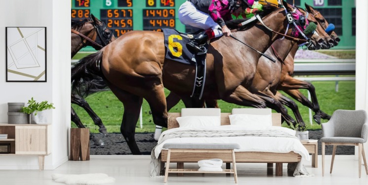 Race heste Baggrund