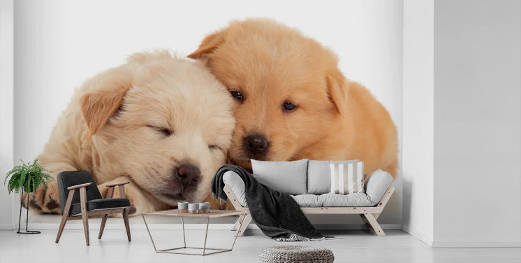 Söt Labrador valpar väggmålning