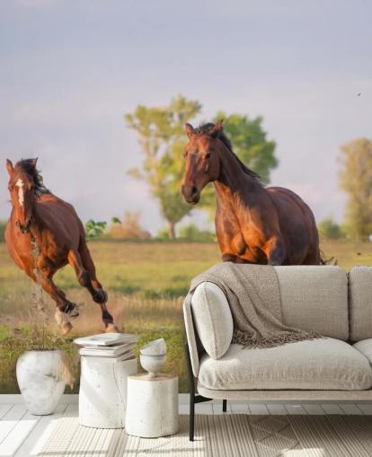 Fondo de pantalla de caballos Fondo de pantalla de caballos