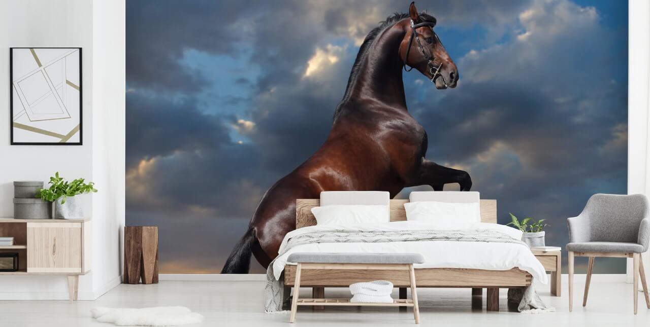 Dark Brown Horse Bucking Wall Mural