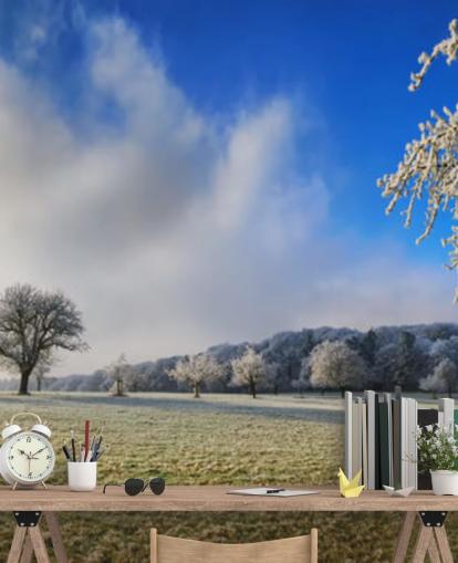 frosty field with white trees wallpaper frosty field with white trees wallpaper