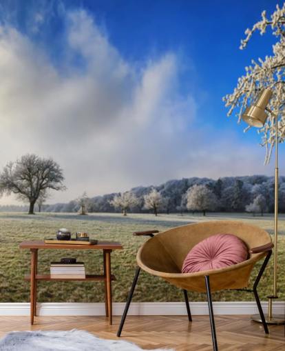 frosty field with white trees wallpaper frosty field with white trees wallpaper