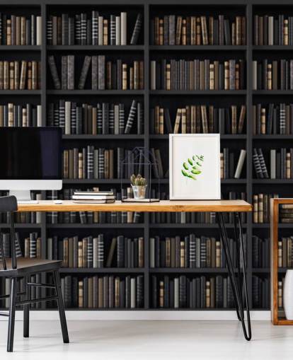 scaffale scuro con carta da parati biblioteca scaffale scuro con carta da parati biblioteca