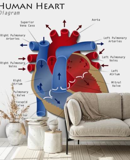 Human Heart Diagram Wall Mural Human Heart Diagram Wall Mural