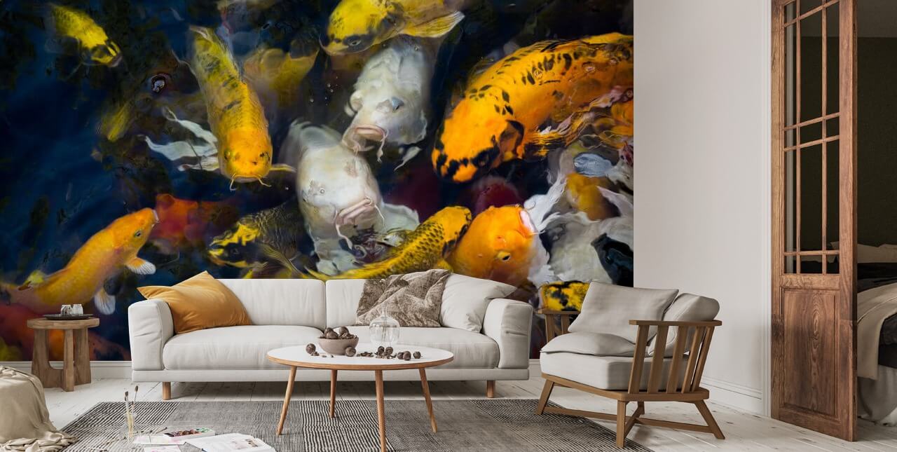 Koi fish in the pond | Wallsauce FI