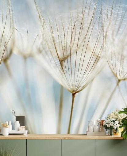 white dandelion wallpaper mural called Abstract Dandelion for lounges, kitchens and bathrooms white dandelion wallpaper mural called Abstract Dandelion for lounges, kitchens and bathrooms