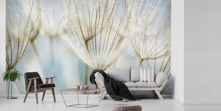 vit maskros tapetväggmålning kallad Abstract Dandelion för lounger, kök och badrum