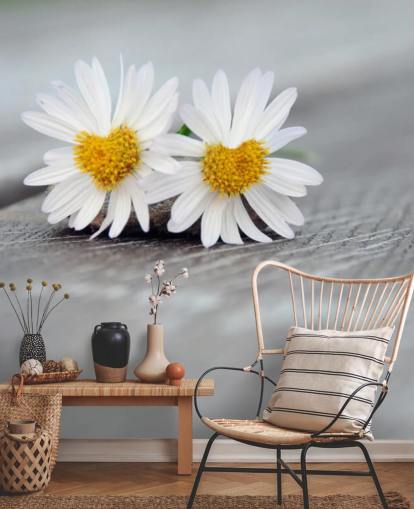 Two Daisies Resting on Wood Mural Two Daisies Resting on Wood Mural