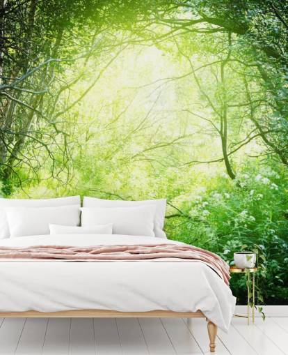 Solbelyste Skog Bakgrunn Solbelyste Skog Bakgrunn