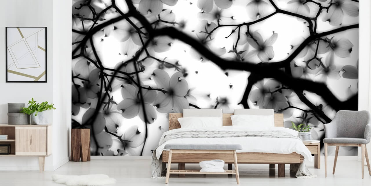 zwart-witte kornoelje bloesem muurschildering