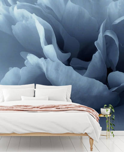 lähikuva vaaleansininen pioni tapetti lähikuva vaaleansininen pioni tapetti