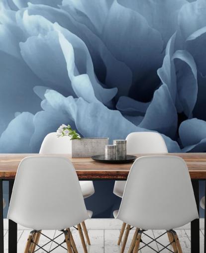 close up of pale blue peony wallpaper close up of pale blue peony wallpaper