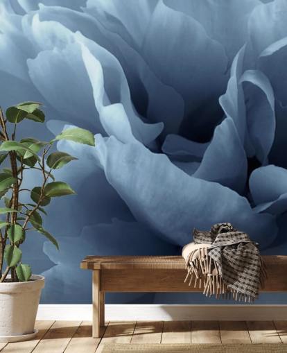 close up of pale blue peony wallpaper close up of pale blue peony wallpaper