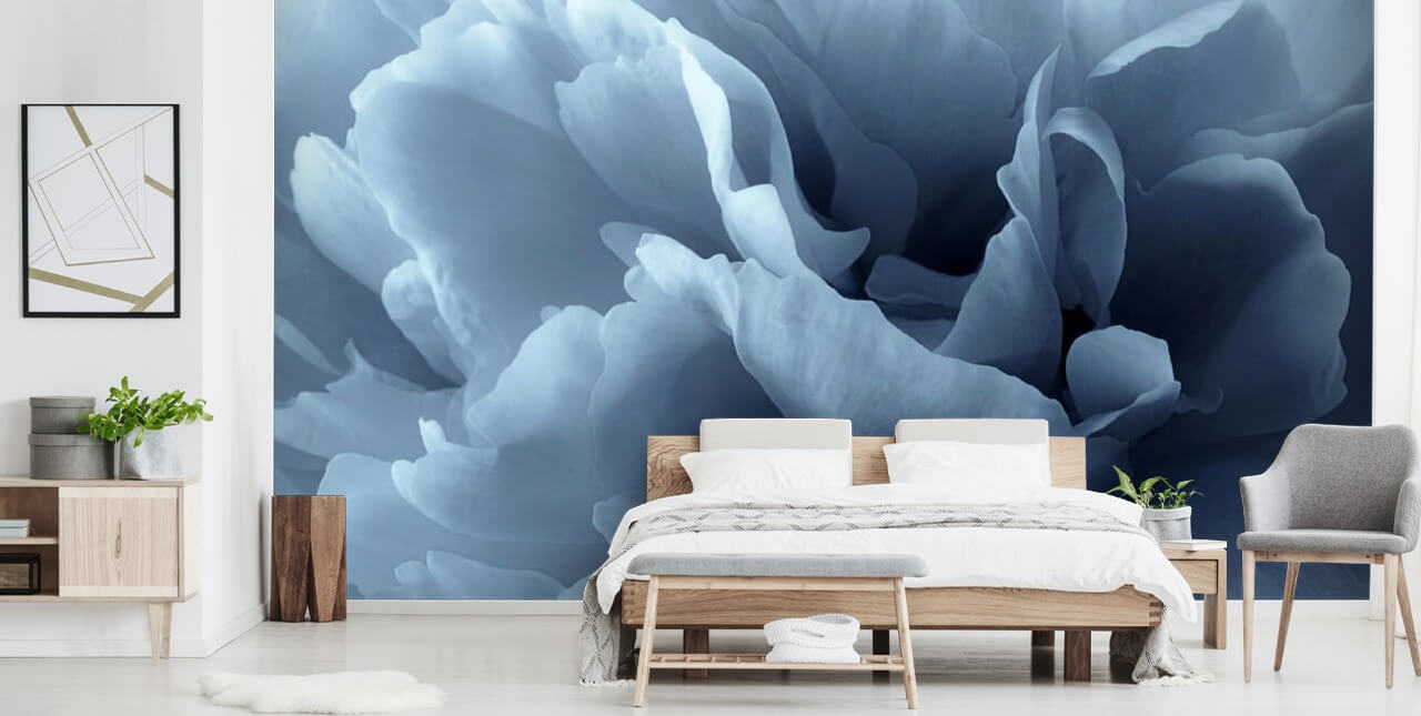 gros plan de papier peint pivoine bleu pâle gros plan de papier peint pivoine bleu pâle