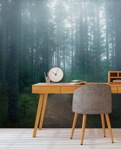 polku vihreitä puita sumuinen metsä tapetti polku vihreitä puita sumuinen metsä tapetti